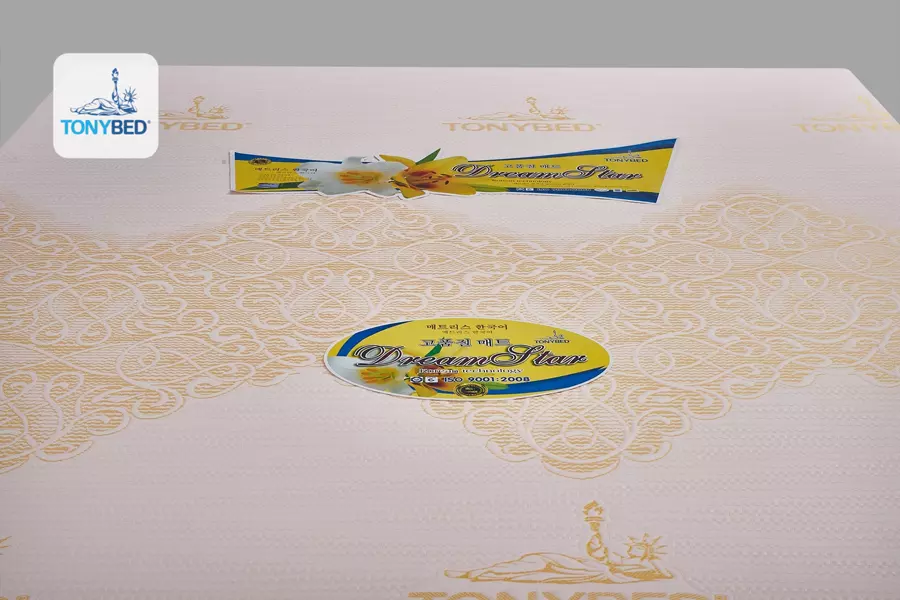 nem-thong-hoi-dream-star-2