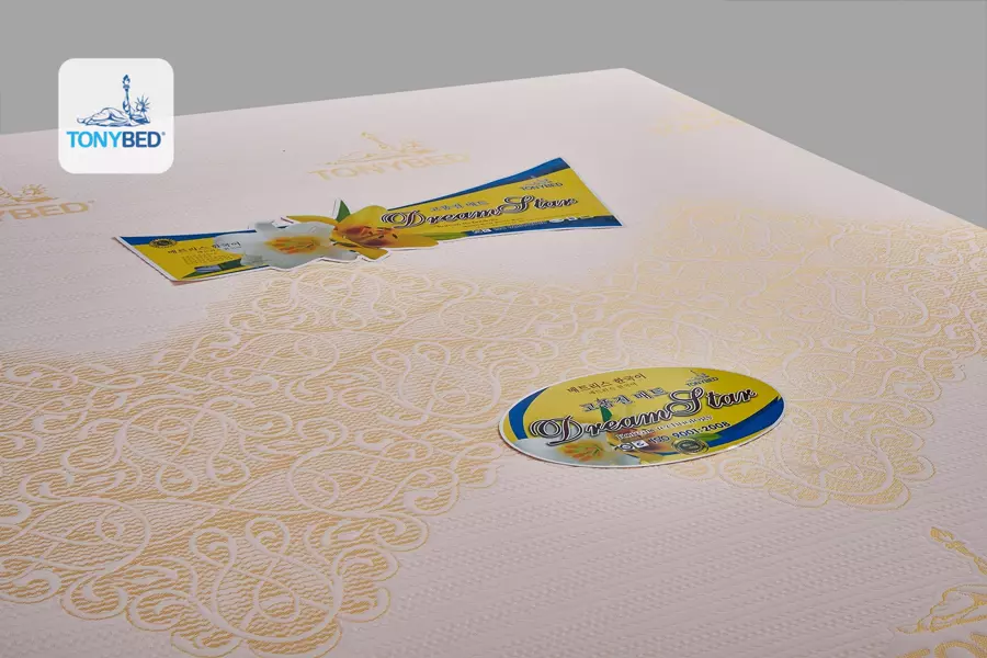 nem-thong-hoi-dream-star-4