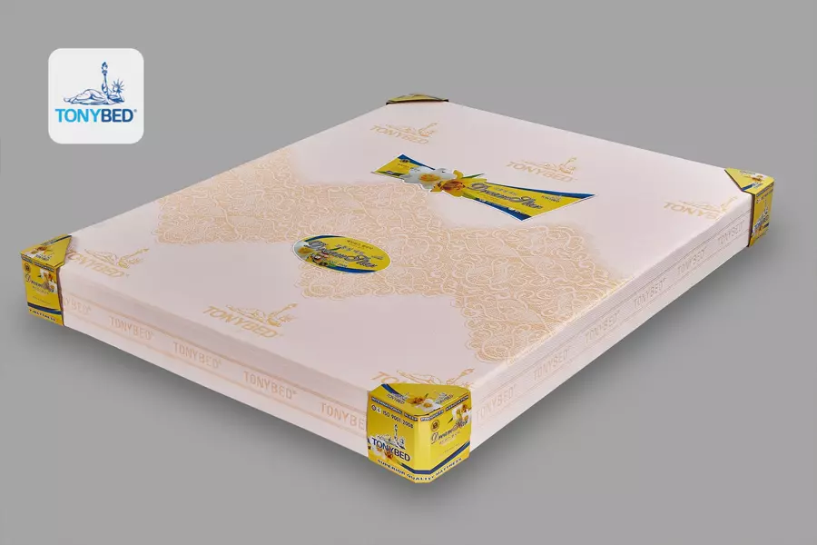 nem-thong-hoi-dream-star-5